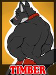  anthro badge bear biceps big_muscles canine clothing collar fur hands_on_hips hybrid looking_at_viewer looking_back male mammal muscles scar shorts solo topless wolf 