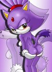  anthro blaze_the_cat breasts butt cat feline female fur looking_at_viewer mammal nude presenting presenting_hindquarters purple_fur pussy raised_tail sega solo sonic_(series) sonictopfan yellow_eyes 