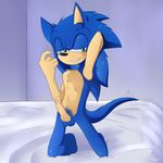  balls blue_hair cum erection fur gay green_eyes hair hedgehog male mammal nude penis pose sega smile solo sonic_(series) sonic_the_hedgehog tailwag 