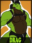  anthro badge biceps big_muscles black_horns black_scales drag_(character) dragon green_dragon green_scales green_skin harness horn looking_at_viewer male muscles solo speedo swimsuit topless underwear zipper 