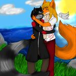  anthro canine colorful couple cute dingo duo embrace gay gazing grass hug lake love male mammal raccoon rock sun 