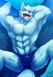  anthro armpits bed biceps big_muscles black_nose blue_background blue_eyes briefs bulge canine dark&#38851;&#21487; dark?? dark_tatsuka fangs fur looking_at_viewer lying male mammal muscles on_back one_eye_closed open_mouth pecs pillow plain_background pose scar slit_pupil solo speedo spread_legs spreading swimsuit teeth toned tongue tongue_out topless underwear white_fur wink wolf 