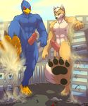  avian avoid_posting canine city falco_lombardi fox_mccloud hindpaw jameless macro male nintendo paws star_fox video_games 