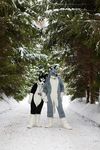 couple dog forest fursuit husky mammal snow tree winter 