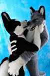  couple dog fursuit husky invalid_tag kissing love mammal rusfur 