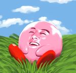  ambiguous_gender cloud eyes_closed grass human kirby kirby_(series) mammal nightmare_fuel reaction_image sitting sky smile solo unknown_species what 