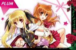  animal_ears artist_name bare_shoulders belt blonde_hair blush bow buckle cape company_connection crossover dog_days dog_ears dog_girl fate_testarossa flower holding_hands kanna_(plum) long_hair long_sleeves lyrical_nanoha mahou_shoujo_lyrical_nanoha mahou_shoujo_lyrical_nanoha_a's mahou_shoujo_lyrical_nanoha_the_movie_2nd_a's mizuki_nana multiple_girls orange_eyes orange_hair red_eyes ribbon ricotta_elmar seiyuu_connection skirt smile socks star twintails watermark web_address 