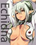  armor arms_up breasts cleavage echidna elf green_hair large_breasts long_hair looking_at_viewer multicolored_hair musha_sabu pointy_ears ponytail queen's_blade red_eyes smile solo two-tone_hair 