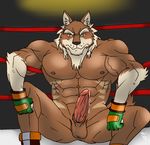  abs anthro balls biceps big_muscles big_penis black_nose blush boots bottomless boxer boxing brown_fur canine clothing cum dripping elek_(character) erection fighting_ring footwear fur gay gloves hair hentist jag_knight12 jagknight12 leaking looking_at_viewer male mammal muscles nipples nude pecs penis pose precum presenting sheath sitting solo spread_legs spreading tan_fur toned topless travis_kristof vein white_fur wolf yellow_eyes 