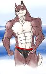  abs anthro biceps big_muscles black_nose brown_fur bulge canine fur grin hentist hideo_katashi male mammal muscles nipples pecs pose smile solo speedo standing swimsuit toned topless vein white_fur wolf yellow_eyes 