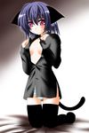  animal_ears black_legwear blue_panties cat_ears cat_tail dress_shirt highres open_clothes open_shirt original otoki_raku panties purple_hair red_eyes shirt solo striped striped_panties tail thigh_gap thighhighs underwear 