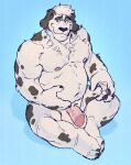 anthro balls big_balls blue_eyes canid canine canis domestic_dog eyebrows flaccid fur genitals hi_res humanoid_genitalia humanoid_penis male mammal navel nipples nude penis roamingthrough simple_background sitting slightly_chubby solo spots spotted_body spotted_fur