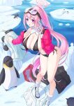  1girl bare_legs bikini bird black_bikini blue_archive boots breasts character_request commentary_request highres large_breasts long_hair looking_at_viewer navel open_mouth othello_katze penguin pink_hair ponytail purple_eyes sidelocks solo standing stomach swimsuit thighs very_long_hair water white_footwear 