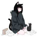  1girl ahoge animal_ear_fluff animal_ears black_cat black_hair blush cat cat_ears cat_tail closed_eyes commentary_request full_body grey_hoodie hands_on_own_legs highres hood hoodie hoodie_hiding_shorts megateru nose_blush original oversized_clothes partial_commentary seiza sitting sleeves_past_wrists smug tail thighs tissue tissue_box white_background 