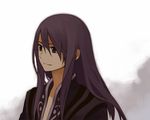  black_eyes long_hair male_focus purple_hair shirataki_nako solo tales_of_(series) tales_of_vesperia yuri_lowell 