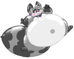  2022 5:4 alpha_channel belly big_belly bliss_(buoyantbliss) blush blush_lines buoyantbliss floating grey_tail hi_res huge_belly immobile latex_body mammal orange_eyes procyonid raccoon simple_background tape transparent_background white_belly 