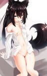  1girl :d absurdres animal_ears black_hair bottomless breasts fang fox_ears fox_girl fox_tail fuusuojisan hand_to_own_mouth highres long_hair long_sleeves looking_at_viewer naked_shirt navel off_shoulder open_clothes open_mouth open_shirt original shirt sitting skin_fang small_breasts smile stomach tail white_shirt 