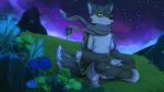 anthro canid cheek_tuft clothed clothing crossed_legs facial_tuft flower fur grass green_body green_eyes green_fur head_tuft hi_res kuttoyaki male mammal mouth_closed night one_eye_closed plant scarf sitting solo star tuft white_body white_fur