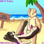  absurd_res anthro bird_dog border_collie canid canine canis clothing collie domestic_dog duo herding_dog hi_res hindpaw hrelterskrelter hunting_dog labrador male male/male mammal nude_beach palm_tree pastoral_dog paws plant retriever sheepdog swimming_trunks swimwear tree 