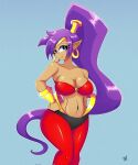 blue_eyes breasts cleavage clothed clothing ear_piercing ear_ring female genie hair hi_res humanoid humanoid_pointy_ears long_hair looking_at_viewer navel not_furry pepino_paponski piercing ponytail purple_hair ring_piercing shantae shantae_(series) signature simple_background smile solo tan_body tan_skin wayforward