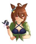  1girl agnes_tachyon_(lunatic_lab)_(umamusume) agnes_tachyon_(umamusume) ahoge animal_ears arm_under_breasts bikini black_bikini black_gloves blush breasts cleavage closed_mouth commentary_request criss-cross_halter ear_ornament fang gloves green_jacket halterneck holding holding_test_tube horse_ears horse_girl jacket large_breasts red_eyes short_hair shpy_py_py simple_background single_glove sleeves_rolled_up smile solo swimsuit test_tube tied_jacket umamusume white_background wristband 