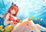  1girl :d animal_ears artist_name bare_shoulders bikini breasts brown_hair cleavage clownfish collarbone commentary daiwa_scarlet_(trifle_vacation)_(umamusume) daiwa_scarlet_(umamusume) dated fang fish fritz614 hair_intakes highres horse_ears horse_girl large_breasts long_hair looking_at_viewer official_alternate_costume red_bikini signature skin_fang smile solo swimsuit twintails umamusume underwater very_long_hair 