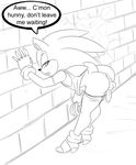  anus balls butt clothed clothing english_text erection girly hedgehog looking_back male mammal penis presenting presenting_hindquarters sega skimpy sonic_(series) sonic_the_hedgehog text thecon 