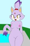 absurd_res anthro areola blaze_the_cat domestic_cat felid feline felis female forehead_gem fur hair hi_res hikaridraws mammal nude pink_areola ponytail purple_body purple_fur sega solo sonic_the_hedgehog_(series) yellow_eyes