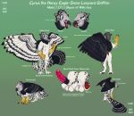 2020 absurd_res accipitrid accipitriform animal_genitalia anthro avian avian-king balls beak big_penis biped bird claws eagle english_text erection feathered_wings feathers felid feral genitals gryphon harpy_eagle hi_res male mammal model_sheet mythological_avian mythology open_mouth open_smile pantherine penis quadruped sheath smile snow_leopard solo tail text tongue tongue_out vein veiny_penis wings