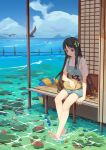  1girl :d absurdres animal_on_lap bare_legs barefoot bird black_hair blue_eyes blue_sky bow breasts cat cat_on_lap caustics cloud collared_shirt day fish green_bow hair_bow hand_on_animal highres lifebuoy light_blush long_hair mountainous_horizon ocean on_lap open_mouth original outdoors overalls rock shirt shouji single_sidelock sitting sky sliding_doors small_breasts smile solo suzi swim_ring tatami toes white_shirt yellow_cat 