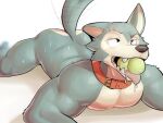 2024 4:3 all_fours anthro ass_up ball ball_in_mouth bdsm beastars biceps big_butt big_muscles bodily_fluids butt canid canine canis collar collar_only drooling eye_scar eyebrows facial_scar fur hi_res jrjresq legoshi_(beastars) looking_up lying male mammal motion_blur motion_lines muscular muscular_anthro muscular_male nude on_front open_mouth pecs petplay pivoted_ears roleplay saliva scar shadow simple_background solo sweat tail tail_motion tailwag teeth tennis_ball tongue tongue_out tuft white_background wolf