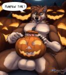 absurd_res anthro balls bedroom_eyes big_balls big_penis canid canine canis domestic_dog food fruit genitals halloween hi_res holidays male mammal muscular muscular_male mutt_(wagnermutt) narrowed_eyes pecs penis plant pumpkin seductive solo tongue tongue_out wagnermutt