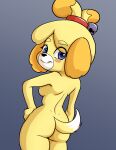animal_crossing blush breasts butt canid canine canis domestic_dog female gradient_background grumpywaya hands_on_hips hi_res isabelle_(animal_crossing) looking_at_viewer mammal nintendo nipples simple_background smile solo standing