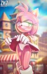2023 absurd_res amy_rose anthro blurred_background blush boots camel_toe city clothed clothing clothing_lift dress dress_lift eulipotyphlan female footwear gloves green_eyes handwear hedgehog hi_res looking_at_viewer mammal navel panties sega smile solo sonic_the_hedgehog_(series) underwear zh7