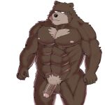 anthro argent_cookie balls bear casual_nudity flaccid foreskin fur genitals hi_res humanoid_genitalia humanoid_hands humanoid_penis male mammal manly muscular muscular_anthro muscular_male nipples nude penis simple_background solo standing
