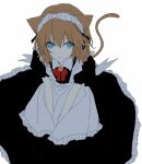 1other alternate_costume androgynous animal_ears apron bell black_dress black_ribbon blue_eyes brown_hair cat_ears cat_other cat_tail cine_hamal closed_mouth dress enmaided frilled_apron frilled_sleeves frills fuluola_xiaoyao hair_ribbon highres kemonomimi_mode kuzu_suzumi len&#039;en maid maid_apron maid_headdress neck_bell neck_ribbon other_focus puffy_short_sleeves puffy_sleeves red_ribbon ribbon short_hair short_sleeves smile solo tail white_apron 