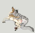 binocular_doe digi digital_media_(artwork) duo felid female feral feral_on_feral impregnation jeffusherb male male/female mammal pantherine penetration pixel_(artwork) snow_leopard
