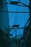 animal blue_sky blue_theme building cat city guangyuan676 highres no_humans outdoors sky valley walking wire 