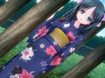  1girl asakura_shizuka black_hair blue_eyes child complets grass hair_ribbon japanese_clothes kimono let&#039;s_ra_go!_bokura_no_jiyuu_kenkyuu let's_la_go!_bokura_no_jiyuu_kenkyuu loli long_hair mame outdoors ribbon tree 