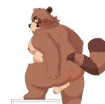 2024 anthro balls belly blush brown_body butt canid canine erection genitals givemepudding3 hi_res kemono male mammal moobs nipples overweight overweight_male penis raccoon_dog simple_background solo tanuki