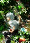  apple baka_mandy food fruit in_tree male_focus nagisa_kaworu neon_genesis_evangelion red_eyes sitting sitting_in_tree solo tree white_hair 