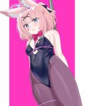  1girl animal_ear_fluff animal_ears arms_behind_back black_leotard black_pantyhose blue_archive blue_eyes blue_halo blush breasts cowboy_shot detached_collar eko fox_ears halo leotard niko_(blue_archive) open_mouth pantyhose pink_hair rabbit_hole_(vocaloid) short_hair small_breasts solo 
