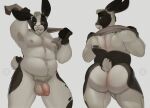 absurd_res anthro armpit_hair arthur_(jumpy_jackal) balls big_butt body_hair buckteeth butt domestic_rabbit facial_piercing flaccid flemish_giant front_view fur genitals hi_res humanoid_genitalia humanoid_penis jumpy_jackal lagomorph leporid lip_piercing long_ears male mammal nipples nude oryctolagus overweight overweight_anthro overweight_male penis piercing pubes rabbit rear_view solo standing teeth towel towel_around_neck white_body white_fur