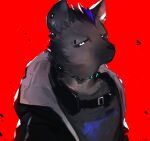  1boy arknights belt black_jacket closed_mouth eyebrow_piercing full_body furry furry_male grey_shirt highres hyena_boy jacket looking_at_viewer male_focus p7ywirzyw8lesuc piercing red_background shirt spot_(arknights) upper_body white_eyes 