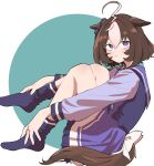  1girl 39kyukochan @_@ ahoge animal_ears blush brown_hair closed_mouth ears_down frown full_body hair_between_eyes hairband highres horse_ears horse_girl horse_tail knees_up long_sleeves looking_at_viewer looking_to_the_side meisho_doto_(umamusume) multicolored_hair no_shoes purple_eyes purple_shirt purple_skirt purple_thighhighs sailor_collar school_uniform shirt short_hair sitting skirt solo tail tail_through_clothes thighhighs tracen_school_uniform two-tone_hair umamusume 