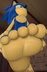 5_toes amy_rose anthro bodily_fluids duo feet female foot_fetish foot_focus hi_res low-angle_view male male/female micro parsley-spoon sega soles sonic_the_hedgehog sonic_the_hedgehog_(series) sweat sweaty_feet toes trampling