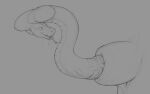 absurd_res animal_genitalia emitting_precum feral genitals hi_res male monochrome pattarchus penis reptile scalie sheath sketch snake snake_penis tochka tongue tongue_out unusual_anatomy unusual_genitalia unusual_penis vein veiny_penis