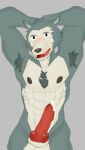 anthro balls beastars blush bodily_fluids canid canine canis cum digital_media_(artwork) erection fur genital_fluids genitals hi_res legoshi_(beastars) male male/male mammal nipples nude open_mouth penis psxchoxiller_(artist) simple_background solo wolf