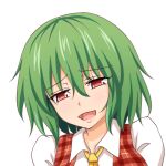  1girl collared_shirt commentary_request gin&#039;you_haru green_hair half-closed_eyes kazami_yuuka looking_at_viewer open_mouth plaid portrait profile_picture red_eyes shirt short_hair simple_background solo touhou upper_body white_background 