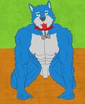 abs anthro balls biceps canid canine canis casual_nudity collar collar_only domestic_dog flaccid foreskin fur genitals humanoid_genitalia humanoid_hands humanoid_penis husky looking_at_viewer male mammal manly muscular muscular_anthro muscular_male navel nipples nordic_sled_dog nude pecs penis solo spitz tongue zerozero